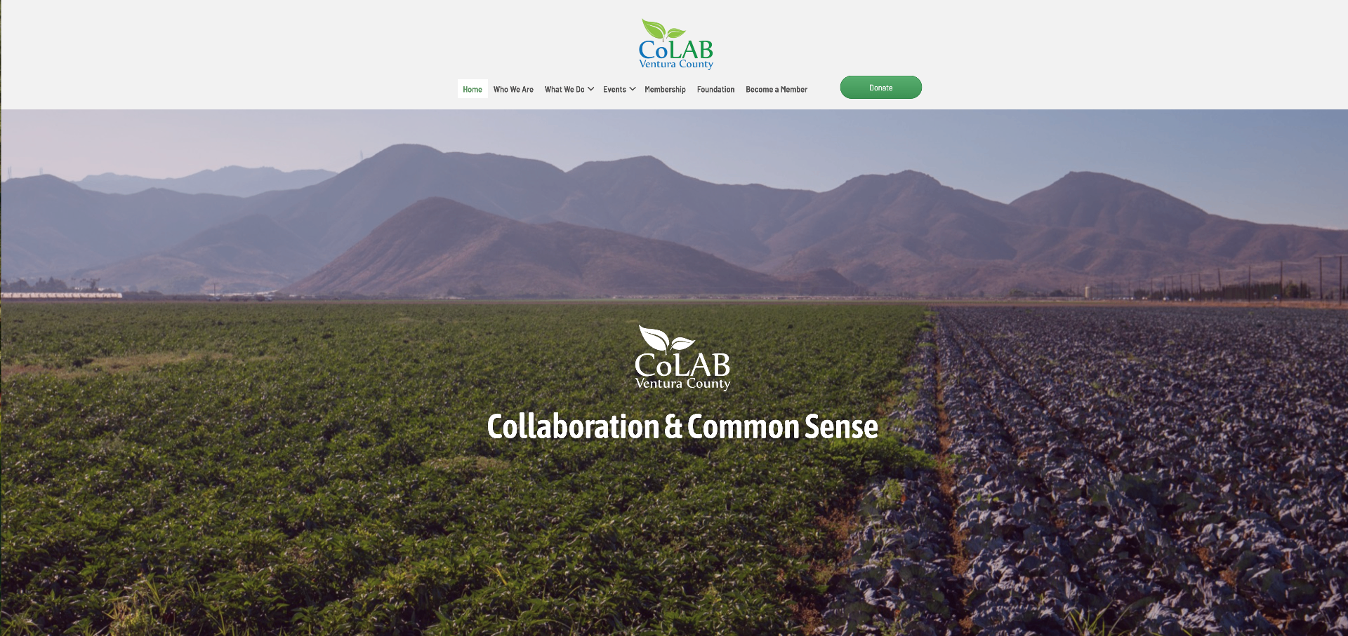 Rebuilt website homepage showing the recovered business site